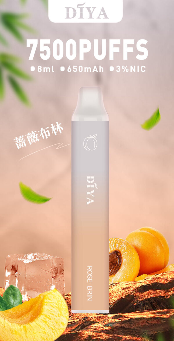 新品上市【叮啞抛棄式7500口】可充電  💖薔薇布林口味✨台灣獨家登場🔥 CP值最高 零故障 限時活動